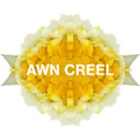 Awn Creel logo - Similar company to Edugion