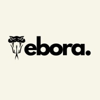 Vebora logo - Similar company to Alluxent Services