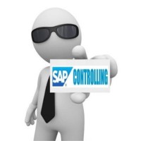 SAP_CONTROLLING logo - Similar company to Sap Contractors