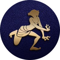 Bellina Collection logo - Similar company to Dryva Mobility