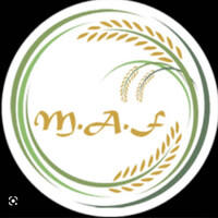MANAV AGRIFOODS PRIVATE LIMITED logo - Similar company to Ritesh Exim Private Limited