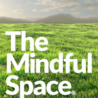 The Mindful Space Lab