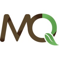 MQ Foundation logo - Similar company to Dgb Group