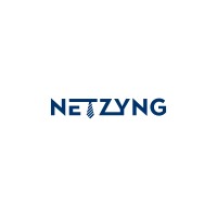 Netzyng logo - Similar company to Zcaledev