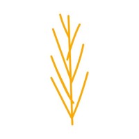 ALEKOS FASSIANOS MUSEUM logo - Similar company to Yieldway
