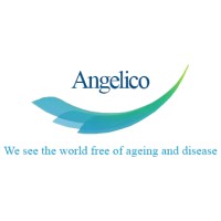 Angelico Ventures logo - Similar company to Limpid