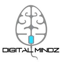 DIGITAL MINDZ logo - Similar company to Digital Mindz | Agence Web