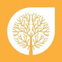 Bd Financial Concepts