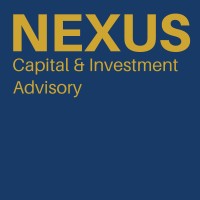 Nexus Capital & Investment Advisory Co., Ltd. logo - Similar company to Emerging Markets Consulting (Emc)