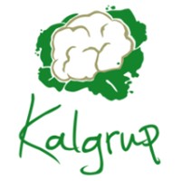 Kalgrup logo - Similar company to Elevenventures