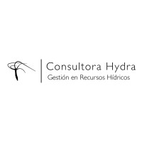 Consultora Hydra logo - Similar company to Hidromas Ltda.