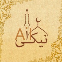 Aik Naiki logo - Similar company to Digikrypton