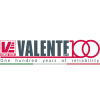 VALENTE S.p.A. logo - Similar company to Crawford Engineering Ltd