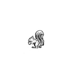 Wiener Salon Nougat logo - Similar company to Confiserie Heindl