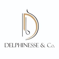 Delphinesse & Co. logo - Similar company to Vedas Technocrats Private Limited