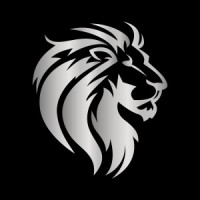 Platinum Lion Realty Inc.