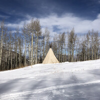 SHELTR logo - Similar company to Shelltr Relief Co.