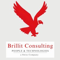 Brillit Consulting logo - Similar company to Arcflow