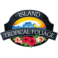 Island Tropical Foliage, Inc. logo - Similar company to Tes Agency