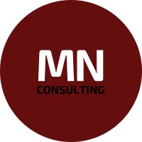 MN Consulting France logo - Similar company to Mn Consulting