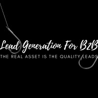 Lead Generation For B2B logo - Similar company to Lead Genie Pro