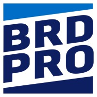 BRDPro Consulting logo - Similar company to Dream Solution Network Ltd.
