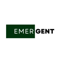 Emergent Risk Management