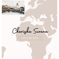 Cherisha Surana logo - Similar company to Next Up Social