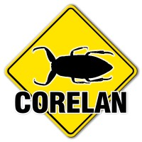 Corelan Consulting bv logo - Similar company to Zero Day Engineering
