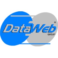 Dataweb Group logo - Similar company to Dataweb Global Group