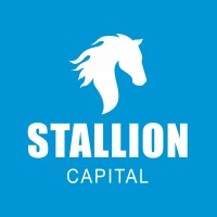 Stallion Capital Management logo - Similar company to Tech With Soul