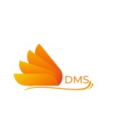 DMS logo - Similar company to Digital Zone It