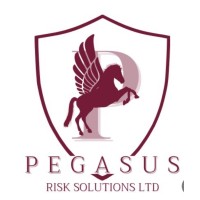 Pegasus Risk logo - Similar company to Centurion Risk Management