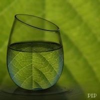 Kratom United logo - Similar company to Cbd Kratom