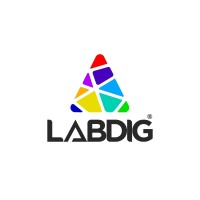Labdig Innovations and Systems logo - Similar company to Tourepedia