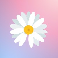 Daisy Foundation logo - Similar company to Travconsult