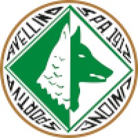 U.S. Avellino 1912 logo - Similar company to Pagina Non Ufficiale