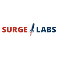 Surge Labs logo - Similar company to Datosflow