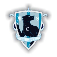 ACS Dream Team București logo - Similar company to Soccer Agent Exam