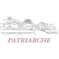 PATRIARCHE logo - Similar company to Evolvia Imaging By Dionysios Tsagkaropoulos