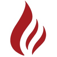 Thermo Solutions logo - Similar company to Mshs Brasil