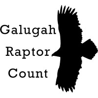 Galugah Raptor Count logo - Similar company to Iranian Cheetah Society