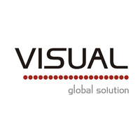 Visual Global Solution logo - Similar company to Icode  | Density Networks | Lynxeye
