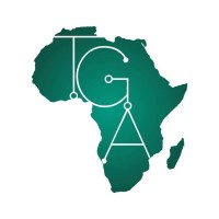 Tech Gist Africa logo - Similar company to Tech X