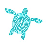 Blue Turtle Webbtech logo - Similar company to Pallavi Dang