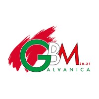 GBM20.21srl logo - Similar company to Wdtec Srl
