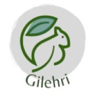 Gilehri Organics logo - Similar company to Bhoomi Enterprises