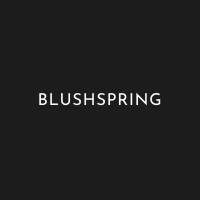 Blushspring logo - Similar company to Ilp Group