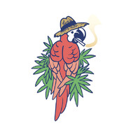 DON PERICO logo - Similar company to Don Perico