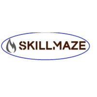 SkillMaze logo - Similar company to Nidi Tech